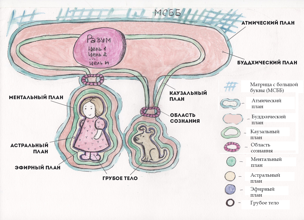Человеческий мозг в разрезе. Реальные структуры человека. Человеческий организм. Анатомия человеческого тела. Астральное тело человека астральное тело человека.
